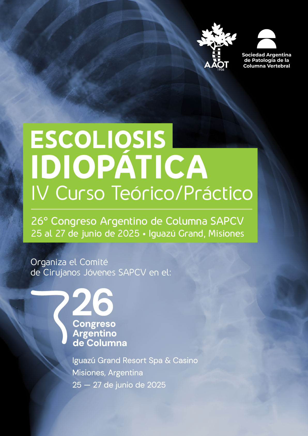 IV Curso Teórico/Práctico de Patología Vertebral: ESCOLIOSIS IDIOPÁTICA